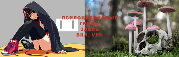 ALPHA-PVP Алексин