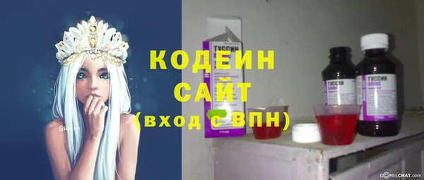ECSTASY Няндома